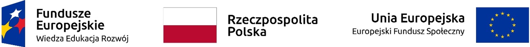 logo_POWER_EFS